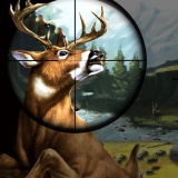 Deer Hunter - deer-hunter