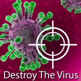 Destroy The Corona Virus - destroy-the-corona-virus