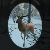 Forest Hunter - forest-hunter